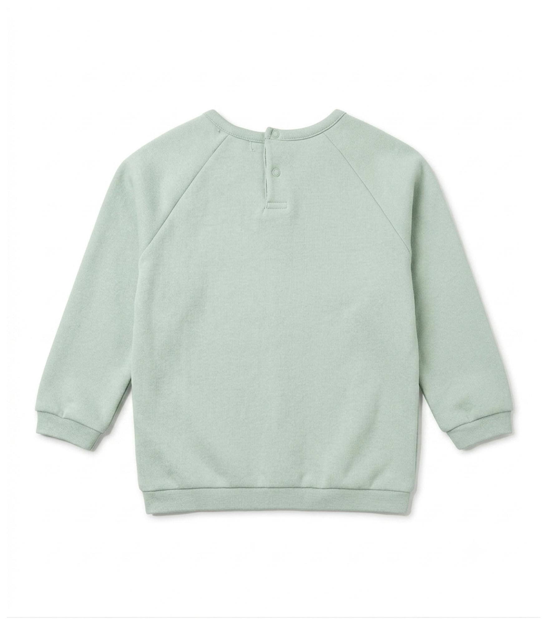 Douglas Baby Boy Sweater, Light Green