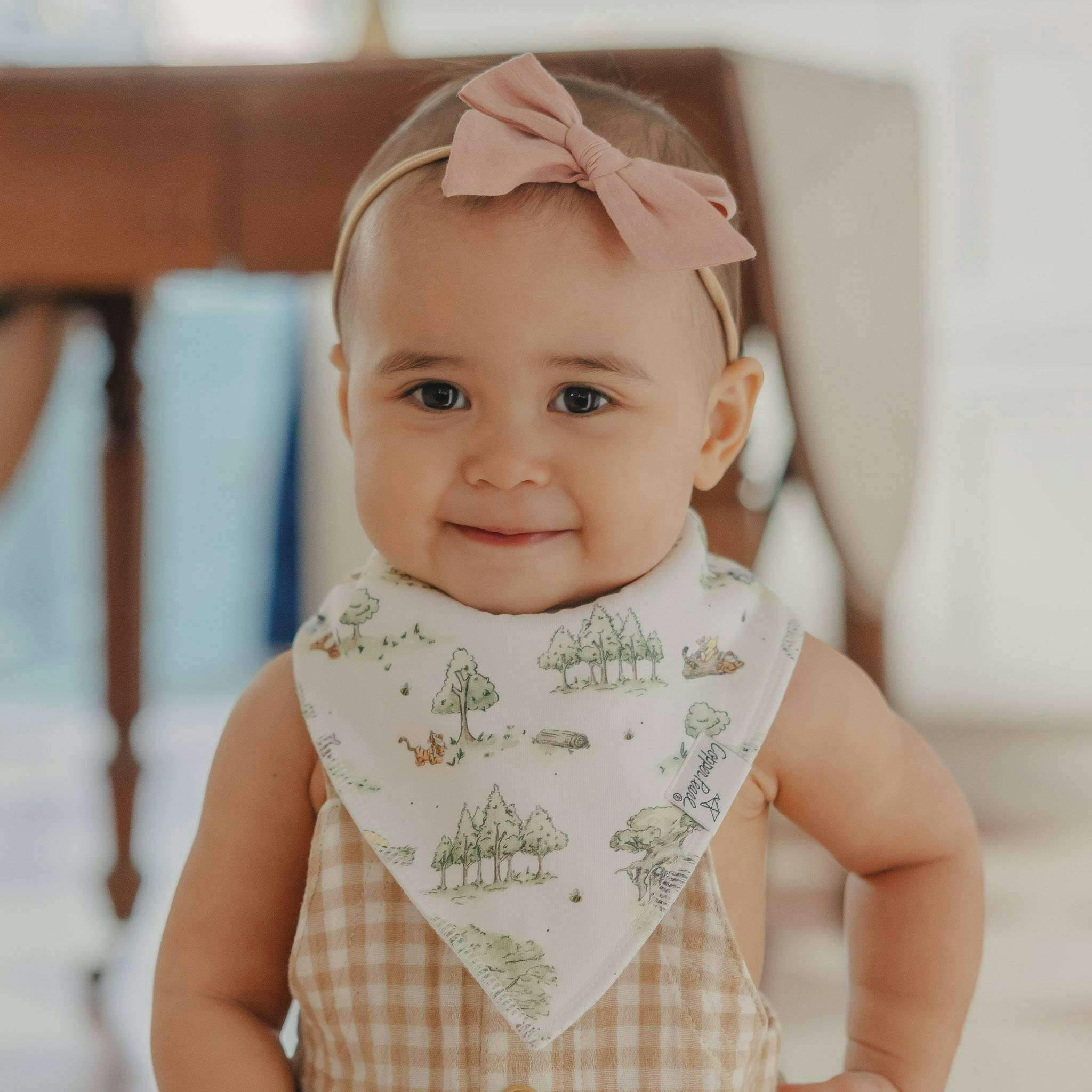 4 Pack Baby Bandana Bibs - Hundred Acre Wood