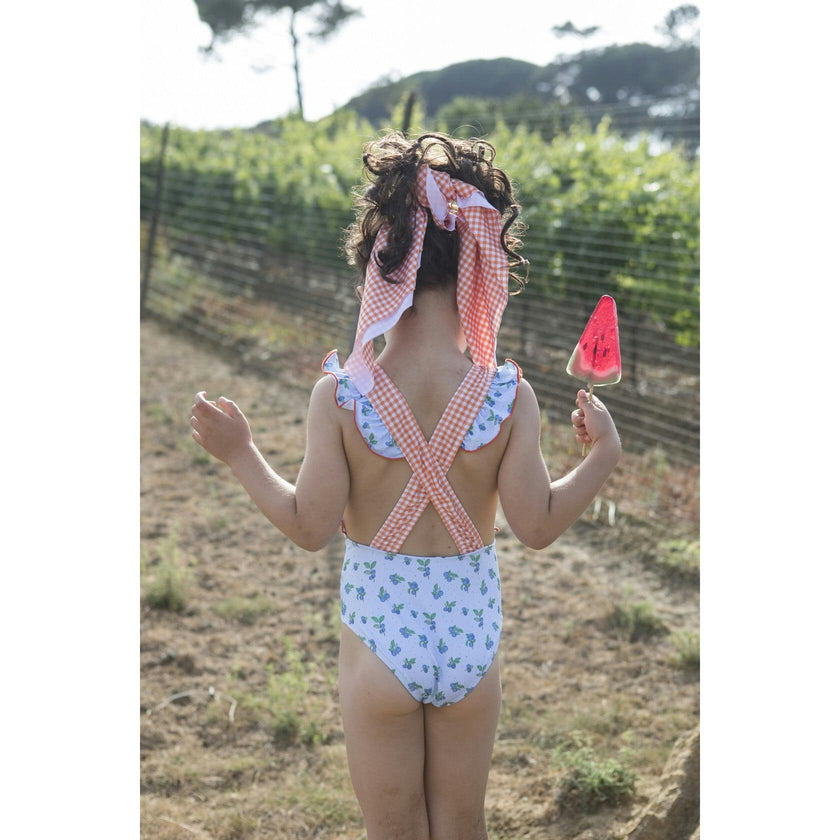 Blueberry Print Vichy Swimsuit, Multi