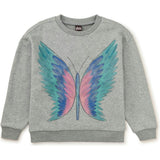 Painted Popover, Grey