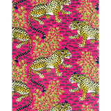 Bagheera, Pink