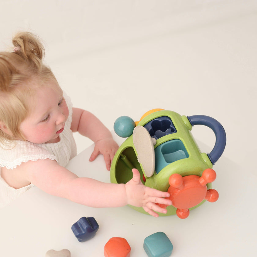 Activity Shape Sorter