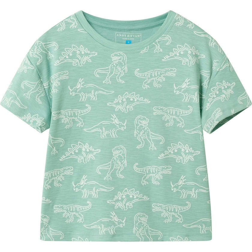 Boys Graphic Tee | Allover Dino