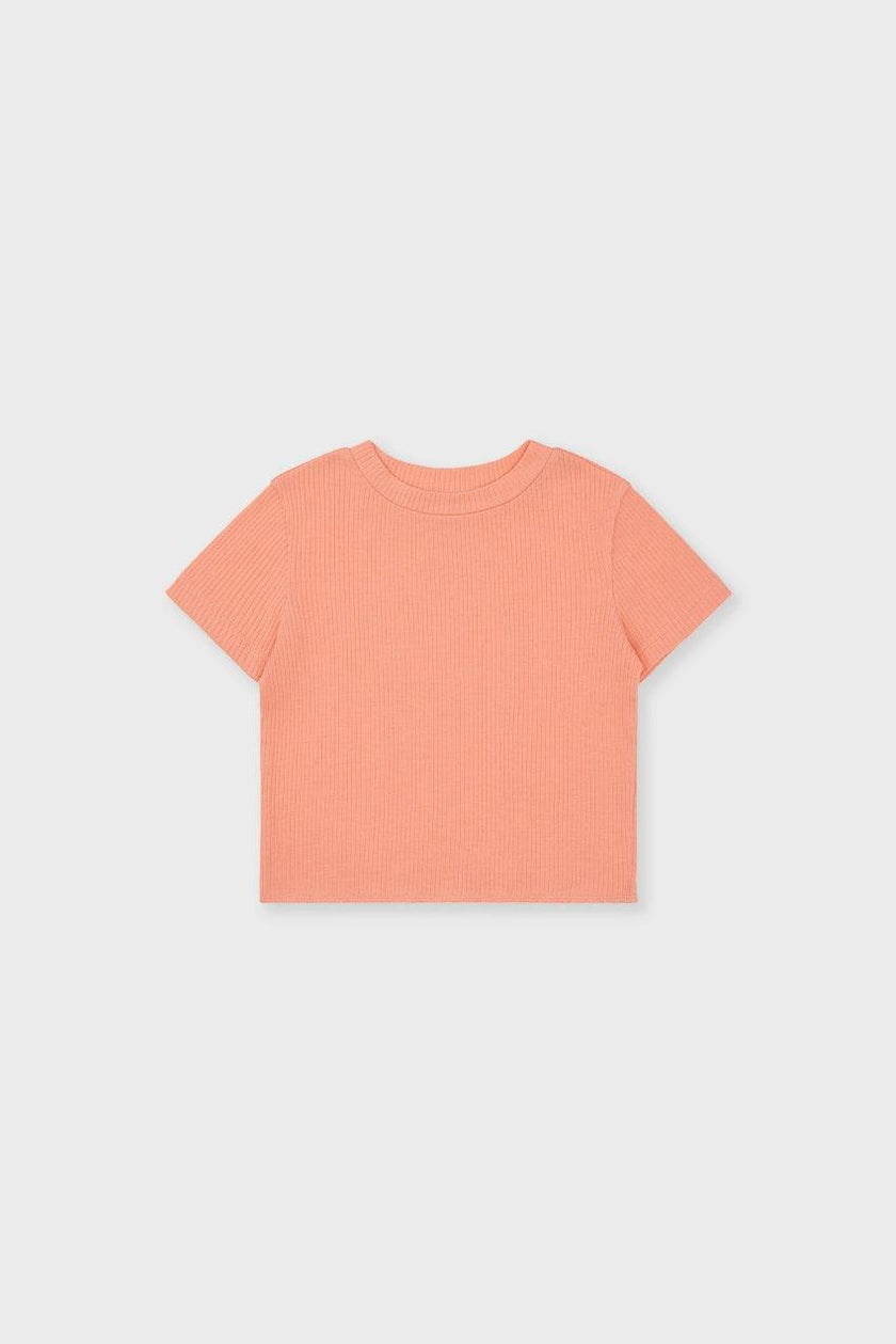 Organic Cotton Cropped T-Shirt