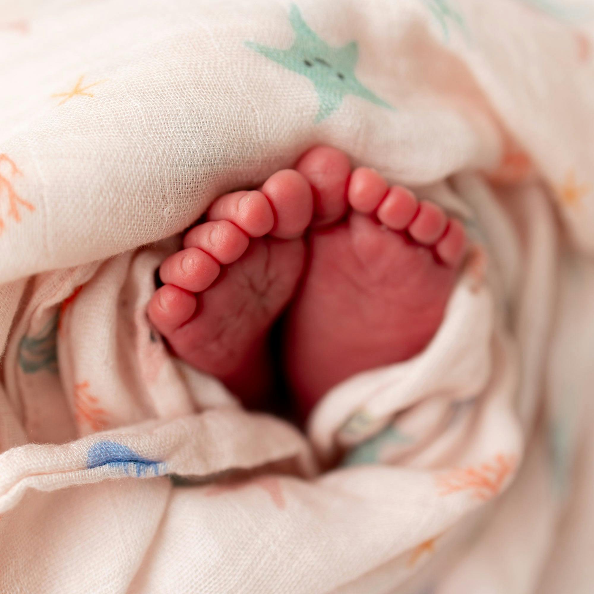 Starfish Swaddle