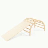 Play Gym Slide