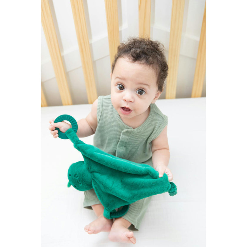 Dino Teether Buddy