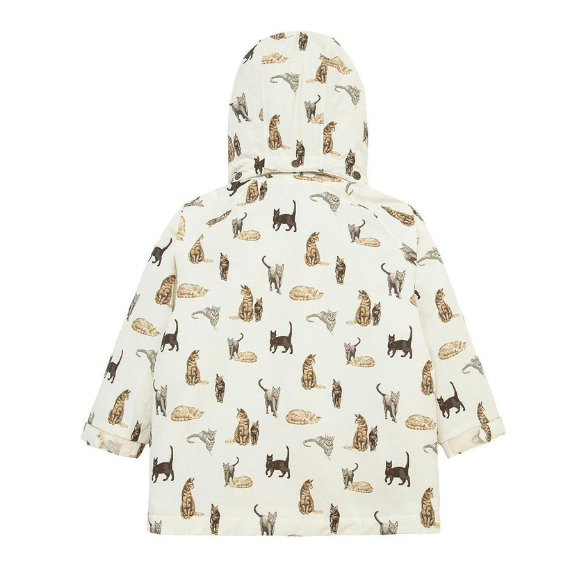 Three in One Jacket