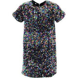 Shimmer Stardust Sequin Dress