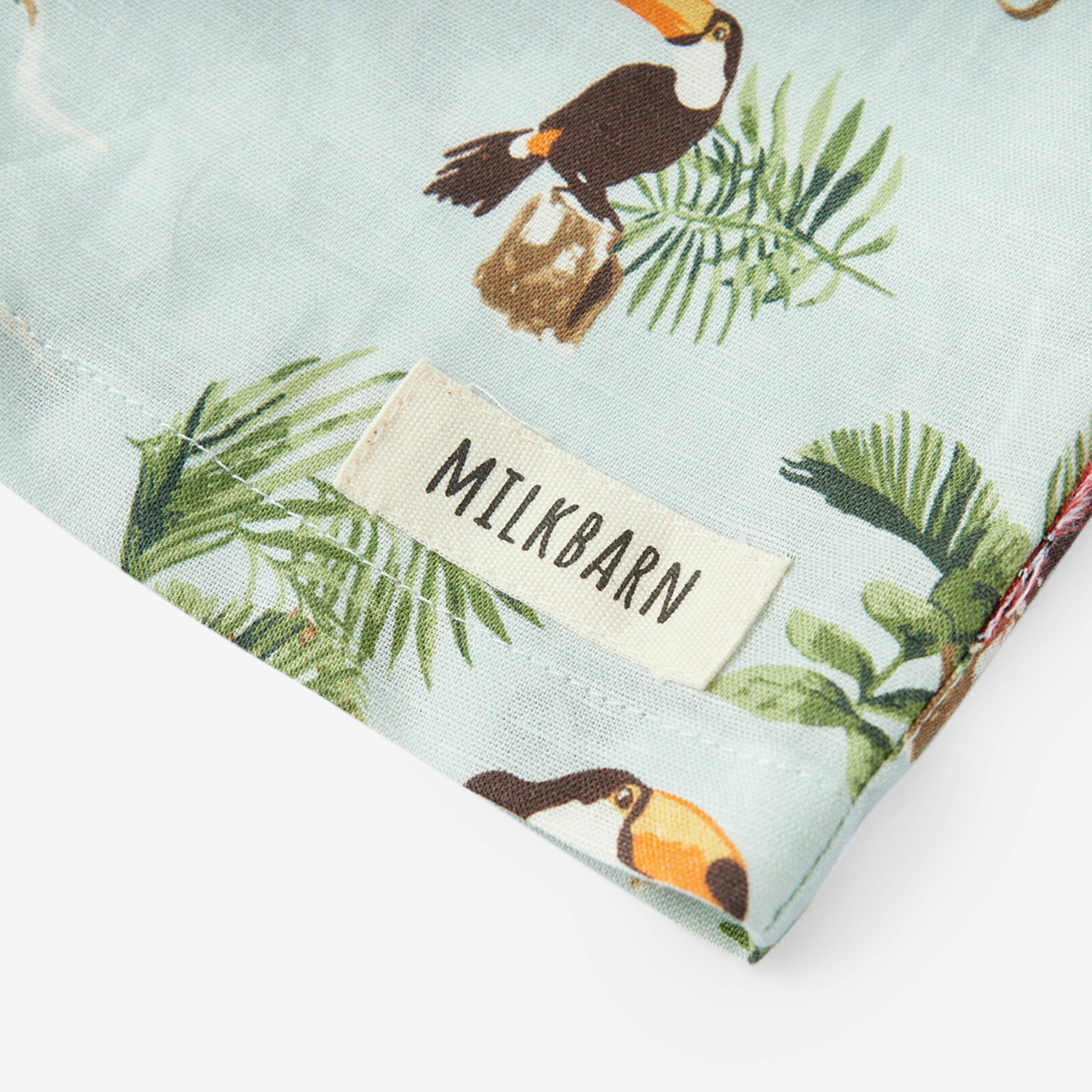 Blue Sky Linen Button-Up Shirt and Shorts Set