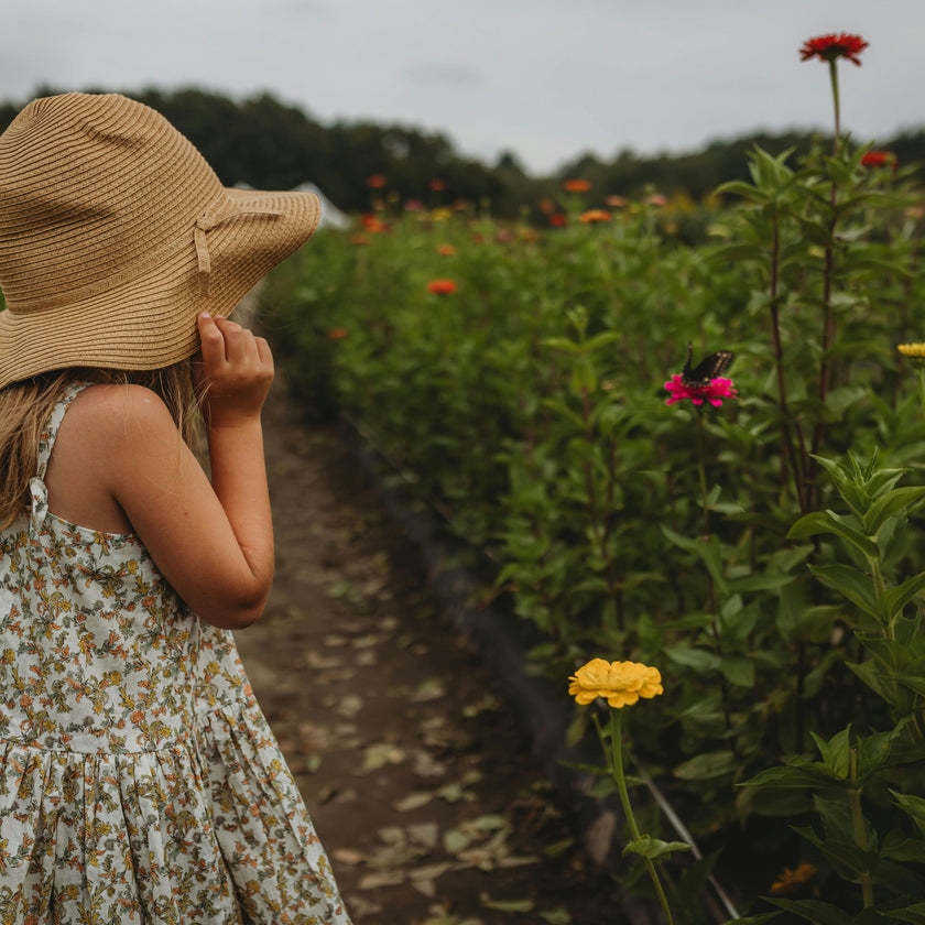 Hikari Pintuck Dress| Mustard Sage Blossom