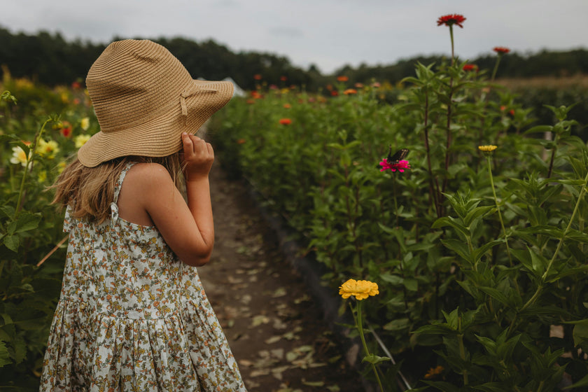 Hikari Pintuck Dress| Mustard Sage Blossom