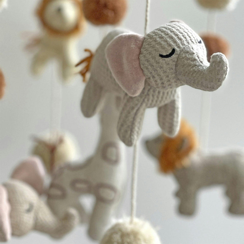 Celing Hanging