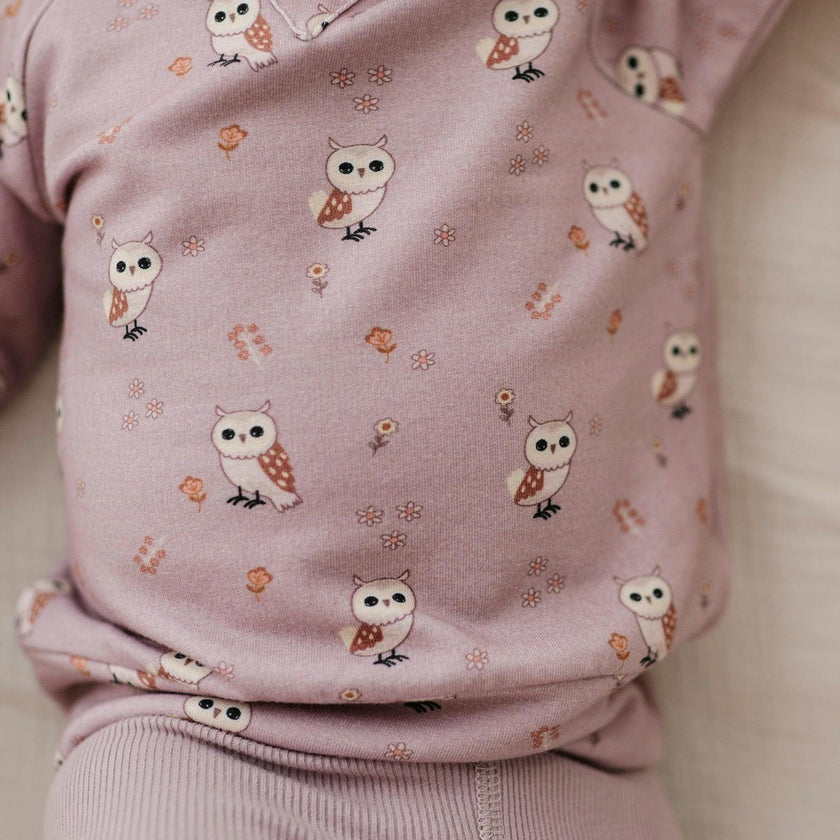 Girls Raglan Sweatshirt in Lavender Owl