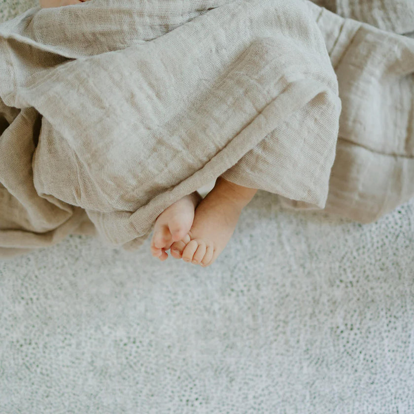 Cotton Muslin Crib Sheet - Green Seed