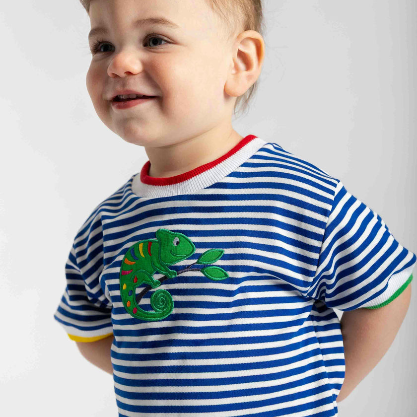 Stripe Knit T-Shirt With Lizard