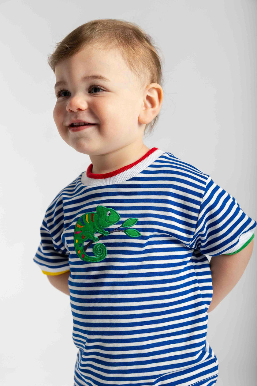 Stripe Knit T-Shirt With Lizard