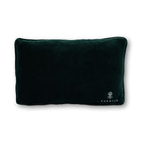 Emails Finding Me Needlepoint Pillow