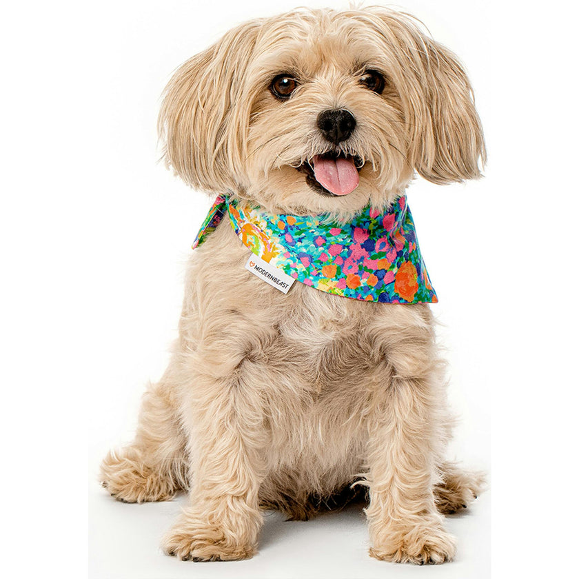 Bandana, Multi