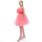 Pink Ruffle Scalleta Dress