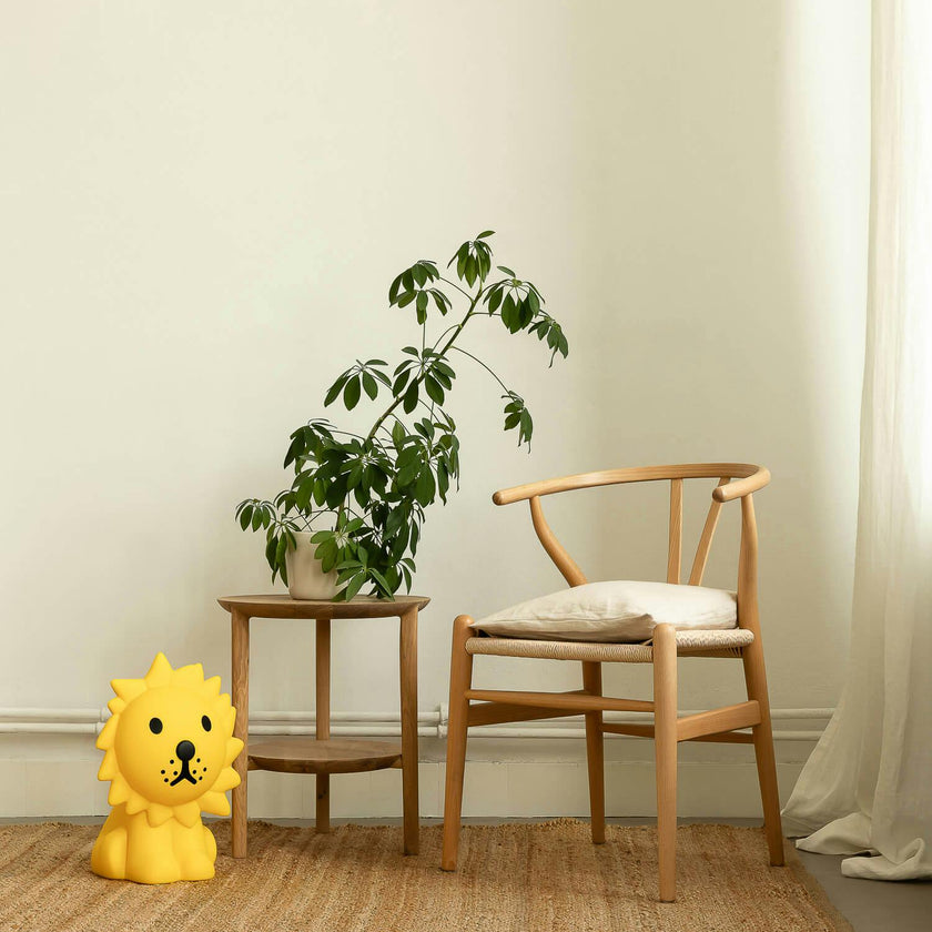 Mr Maria Lion Lights