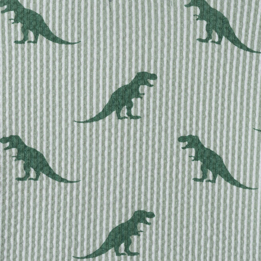 Infant Boys Short Sleeve Cabana Set | Green Stripe Dino