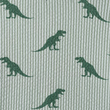 Infant Boys Short Sleeve Cabana Set | Green Stripe Dino