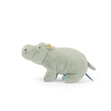 Large Hippopotamus - All Around The World