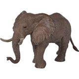 Animals Set: Safari - 5pc