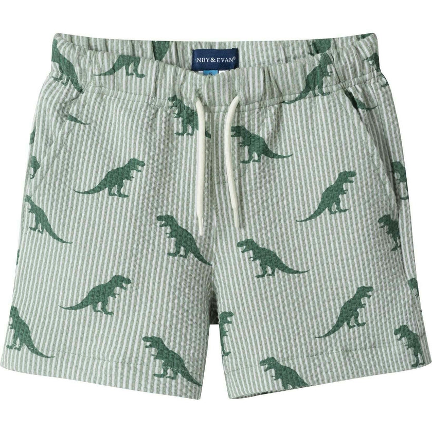 Boys Short Sleeve Cabana Set | Green Stripe Dino