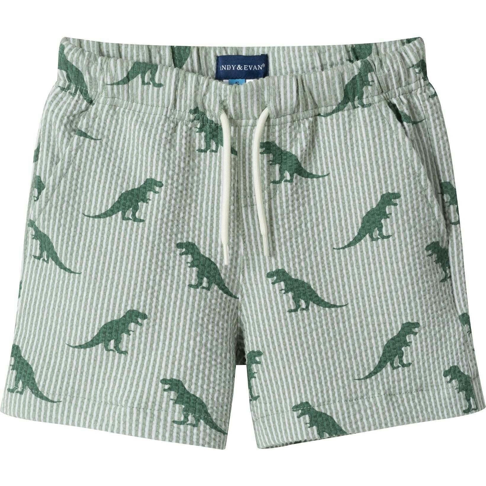 Boys Short Sleeve Cabana Set | Green Stripe Dino