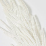 Flocked White Norfolk Pine Branch