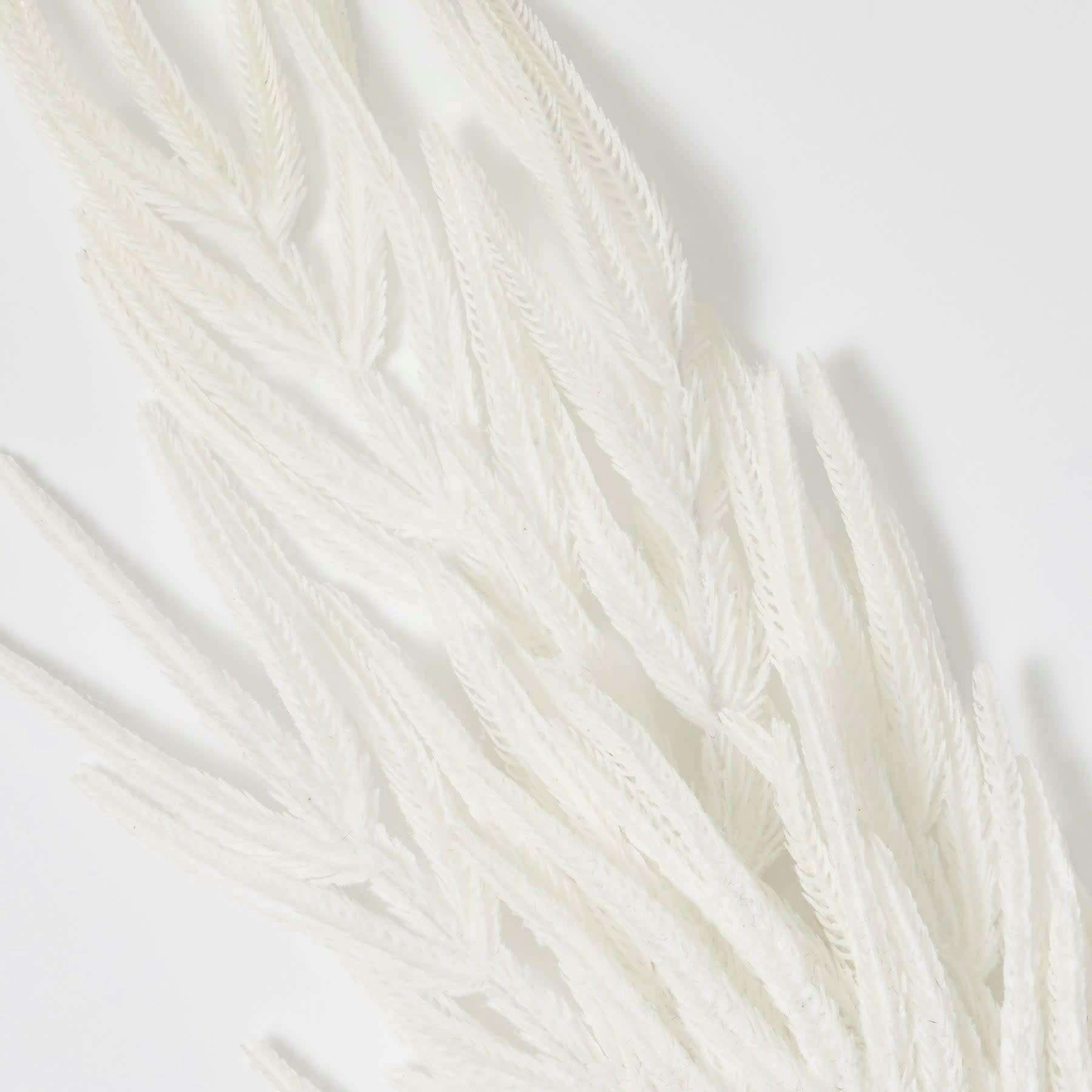 Flocked White Norfolk Pine Branch