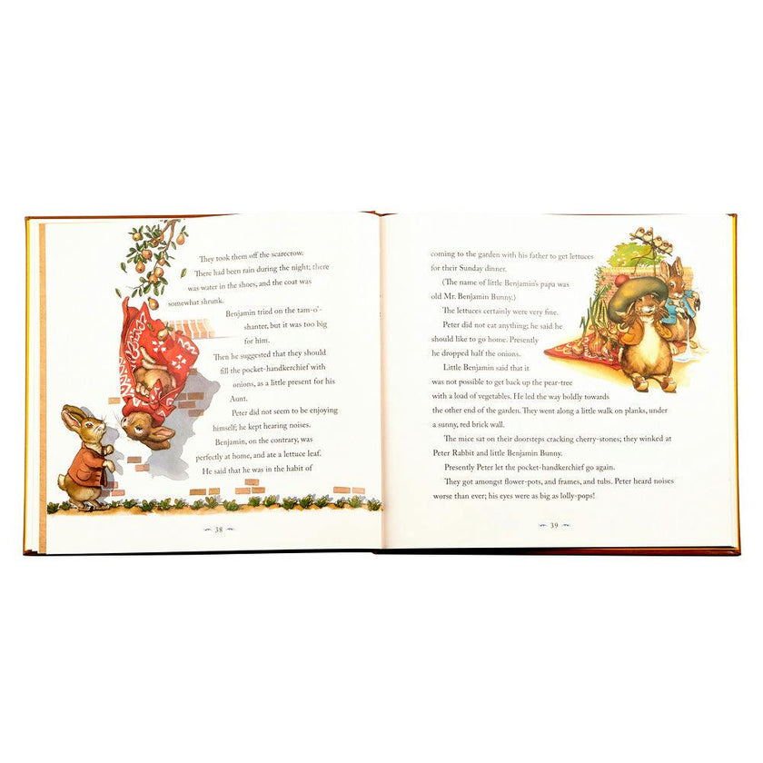 The Classic Tale of Peter Leather Bound Classic Children's Book