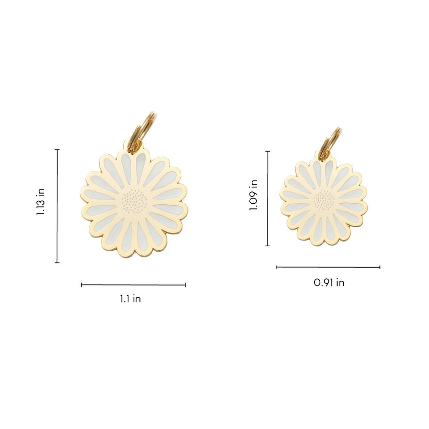 Daisy Pet ID Tag