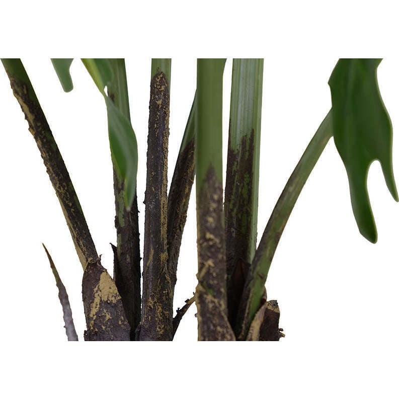 3' Faux Potted Philodendron