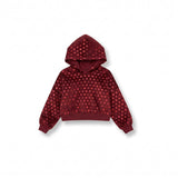 Velvet Reverie Hoodie