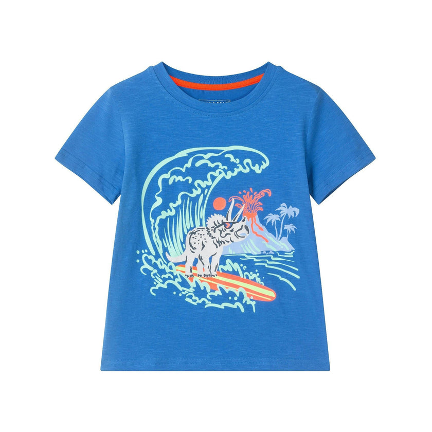 Boys Graphic Tee | Surfing Dino