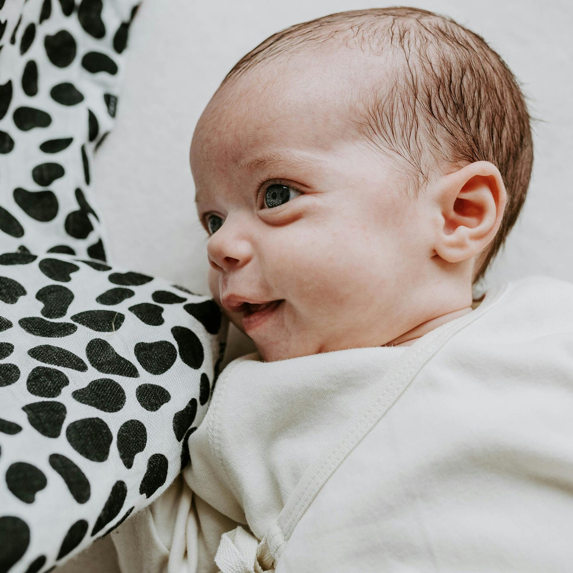 Animal Print Muslin Burp Cloths