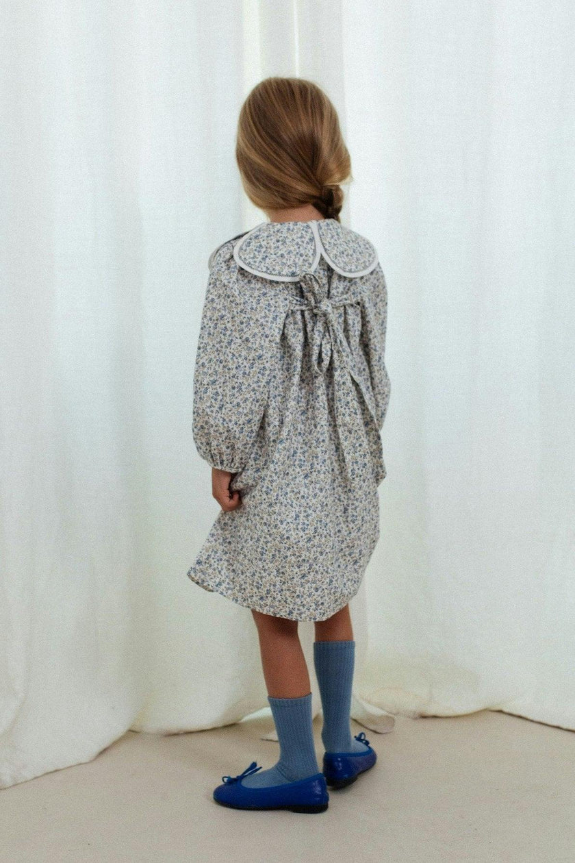 Clementine dress