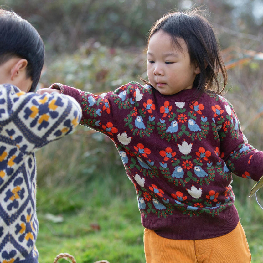 Folk Birds Knitted Jumper, Purple