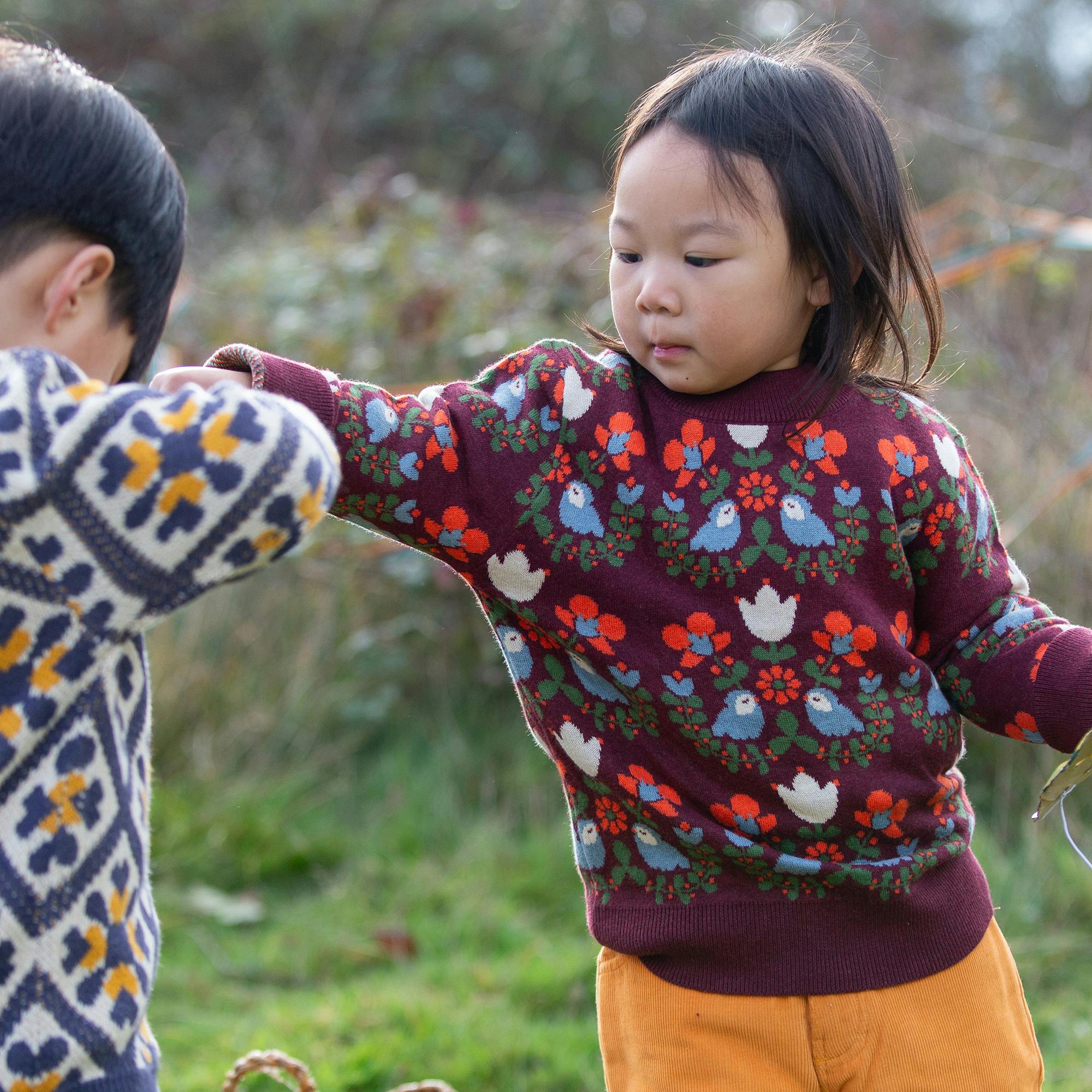 Folk Birds Knitted Jumper, Purple