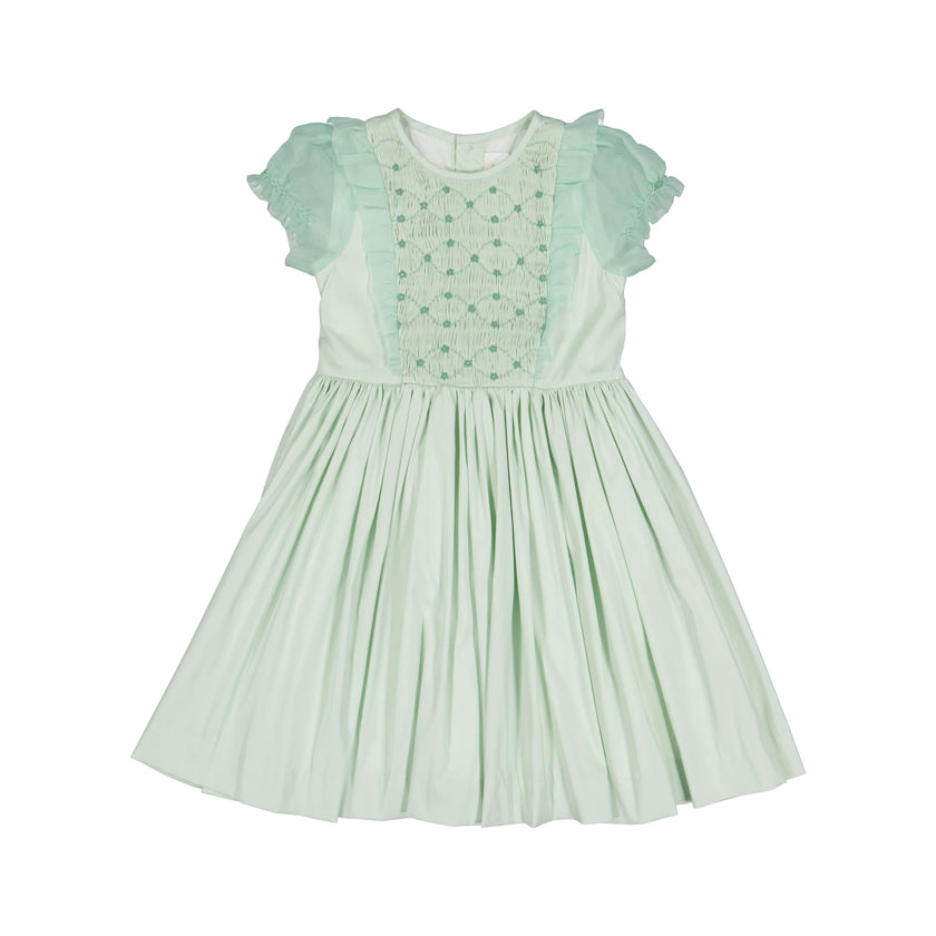 Camelia Mint Organza Sleeves Dress