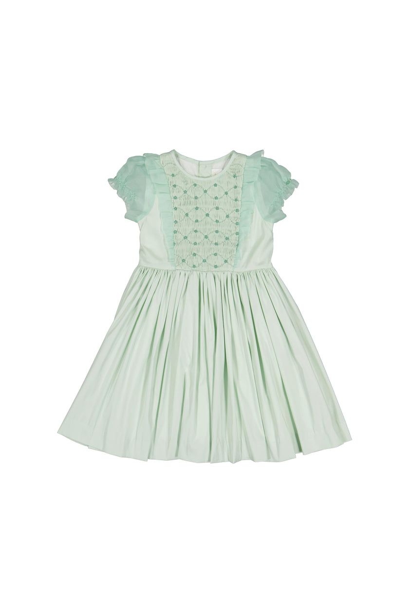 Camelia Mint Organza Sleeves Dress