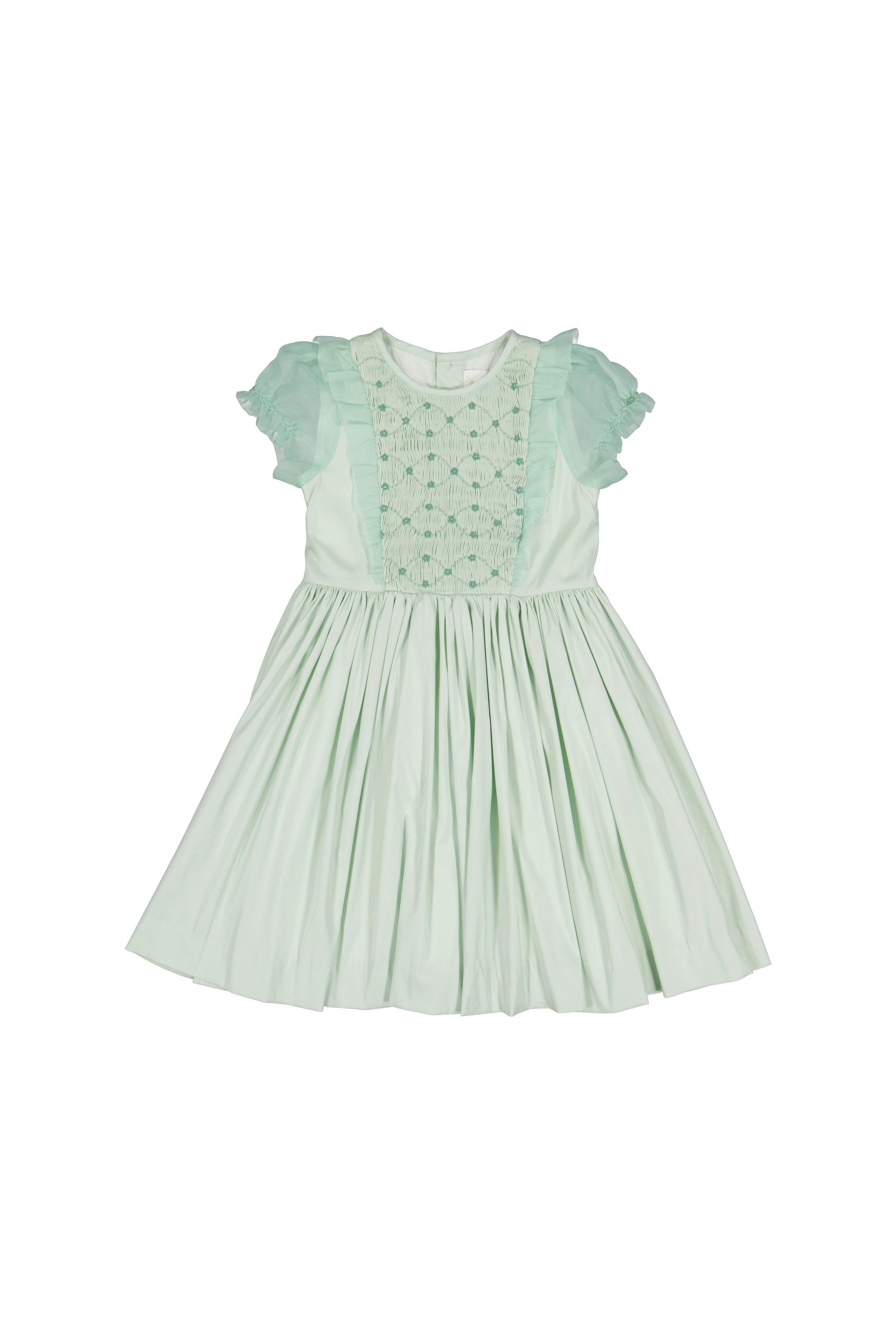 Camelia Mint Organza Sleeves Dress