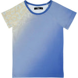 Ombre Rash Guard
