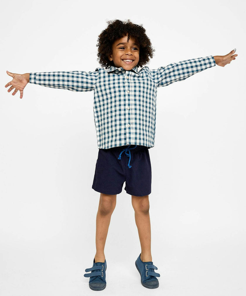 Jeffie Shirt, Blue Picnic Check