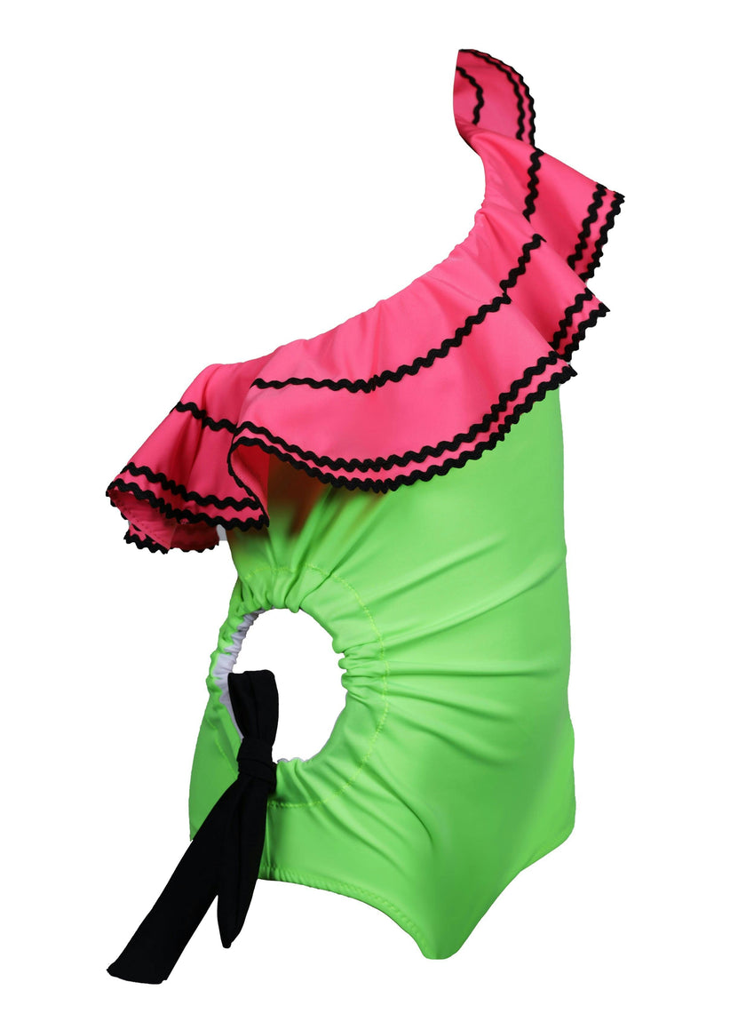Pari Ruffle One Shoulder One-Piece Swimsuit
