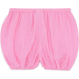 BONTON Bombe Bloomers - Rose Fiesta