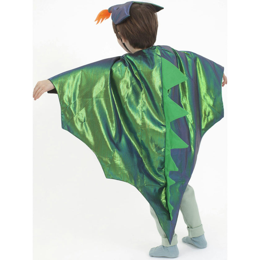Dragon Costume